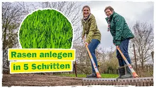 RASEN SÄEN: In 5 Schritten deinen Rasen anlegen 🧤