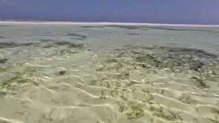 4K - Low tide walk on a dream beach in Zanzibar