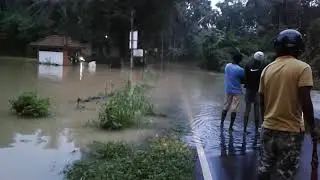 Delwala   jala galim..