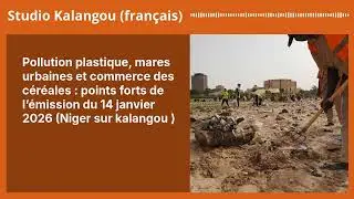 Pollution plastique, mares urbaines et commerce des c&eacute;r&eacute;ales : points forts de l&rsquo;&eacute;mission du 14...