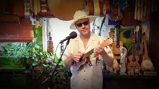 Bird of Paradise (Original Song by Andreas Hellmayr)