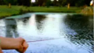 Golf Ball Wrangler