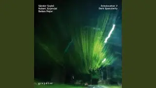 Silent Visitor II (feat. Robert Jurjendal & Balazs Major)