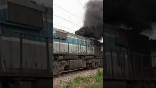 WDM 3D ALCO # short# video#