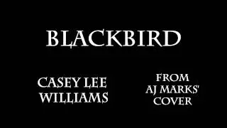 Blackbird by Casey Lee Williams