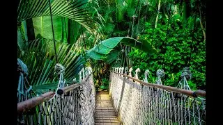 Sounds of Nature - Threshold - Relaxing Music Bliss - Original Music by Alan Garcia