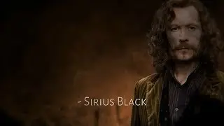 What is life without risk? | Sirius Black