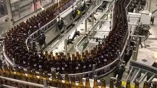 HG Fully Automatic Beer Can Filling Machine in Action