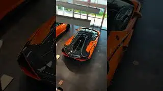 1/63 Sian FKP 37 😦 #fyp #automobile #lamborghini #freak2fr