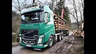 Part-1 • Volvo FH 540 • Holz-Harth • Holz-LKW • Kurzholz • Transport