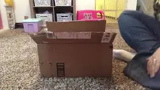 Baby Tink Reborn doll unboxing