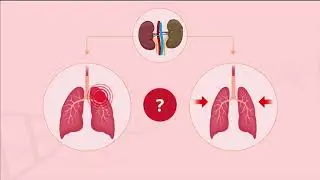Red in Motion: The Link Between Chronic Kidney Disease, Blood Phosphate Levels, and Lung Injury