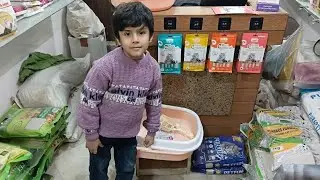 Today Zain very happy😁 Zain buy Persian cat🐈🐱