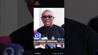 Peter Obi on Fuel Subsidy: 
