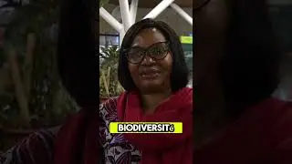 Mercredi, 05 novembre à 2h30, la ministre de l’Environnement, Pr. Marie NYANGE NDAMBO est ...