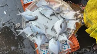 Malad Fish Market Latest Update | Cheapest Fish Market Mumbai | 21 October 2025 Malad Macchi Market