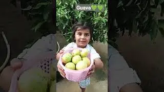 #transformation#guava #fruit
