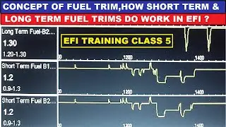 What is fuel trim,how it works ? Concept of short term fuel trim & long term fuel trim working Hindi