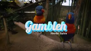 Gambleh - Herda Syira (Video Lirik Tidak Official)