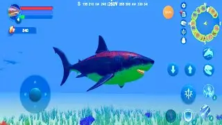 Megalodon Simulator - Android Gameplay #1 - Dinosaur Simulator Game