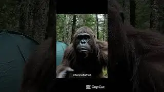 Big Foot Got Jokes Vlog  7.  #dadjokes #bigfoot #shorts