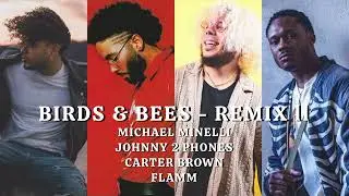 Birds & Bees - Remix ll ft. Carter Brown & Flamm