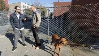 Episode 104: Crown Heights - Neighborhood Crashers