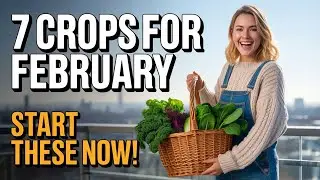 7 Crops To Plant In February For An Early Balcony Harvest!