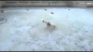 My Xcopter 2nd flight