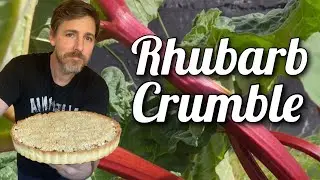 How to make rhubarb tart | Rhubarb Crumble Recipe
