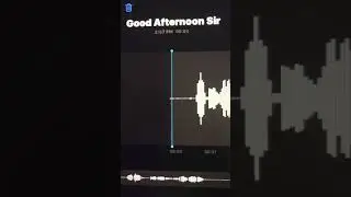 Good Afternoon Sir (Audio Only)