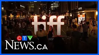 TIFF sets out to &lsquo;transform how people see the world through film&rsquo; for 50th year