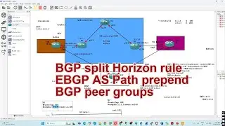 Split Horizon rule, EBGP AS path prepend and ⁠BGP peer groups | #tungabadranetworks