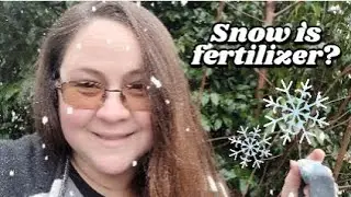 Snow is fertilizer? Poor Man Garden Hack! #garden #gardening #fertilizer #gardenhacks #wintergarden