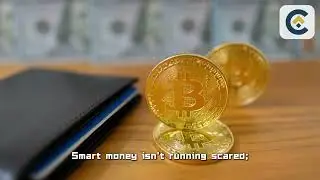 CNCPW Alert: $513M Crypto ETP Exodus - Bitcoin Bleeds While Ethereum Bulls Charge