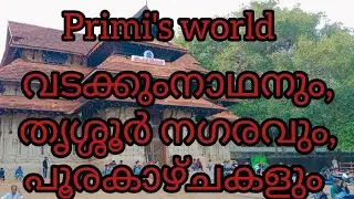 Flashmob/Thrissur/ Thrissurpooram.   #flashmob #pooram2023 #thrissurpooram #pooramvibes #pooramvibe