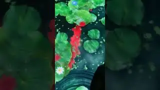 Japan Dreams Experience 