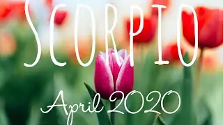 Scorpio - April 2020 Tarot Reading