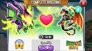Dragon City: High Reborn Dragon vs High Eternal Dragon [EXCLUSIVE BREEDING] 😱