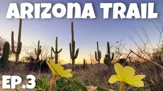 Arizona Trail Thru Hike • Ep 3 • Vail to Oracle