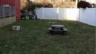 AeroQuad Maiden Flight