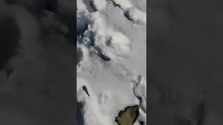 follow the footprint