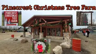Pinecrest Christmas Tree Farm Galien,Michigan 14th Year Of Our Family Tradition #ChristmasTreeFarm