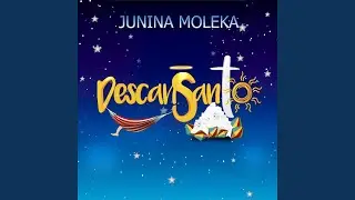 Festa Animada / S&atilde;o Jo&atilde;o na Estrada
