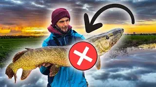 WHAT IS WRONG WITH THIS BIG CANAL PIKE? (4K)