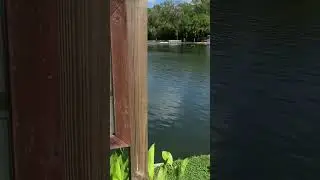 Deleon Springs, Deland Florida. Family outing, picnic, DIY pancake house, manatees & tour cruise￼