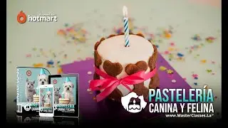 Pasteleria Canina y felina - Masterclass