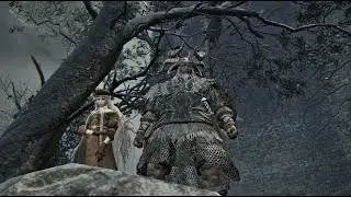 RAIDER GUIDE and GAMEPLAY EXAMPLE (made by a raider pro) -- Elden Ring Nightreign