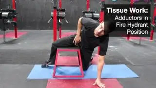 Tissue Work: Adductors in Fire Hydrant Position