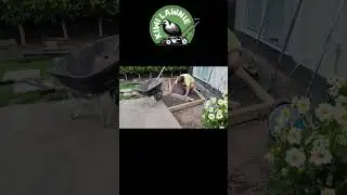 Garden Transformation! Paver pathway, timber edging and garden beds #garden #diy
